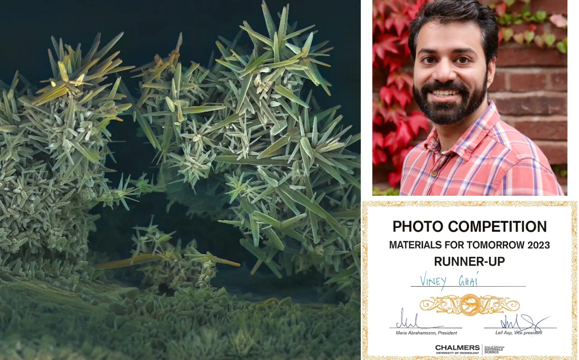 Viney's photo prize