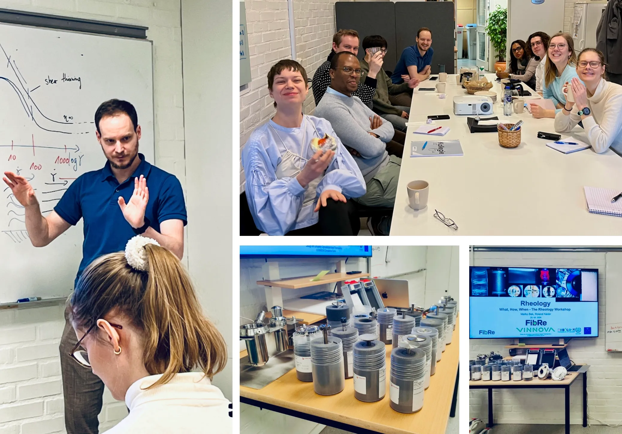FibRe rheology workshop
