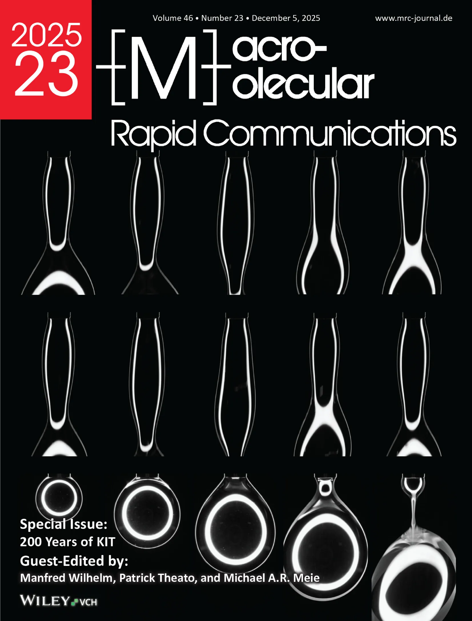 Cover in Macromolecular Rapid Communications