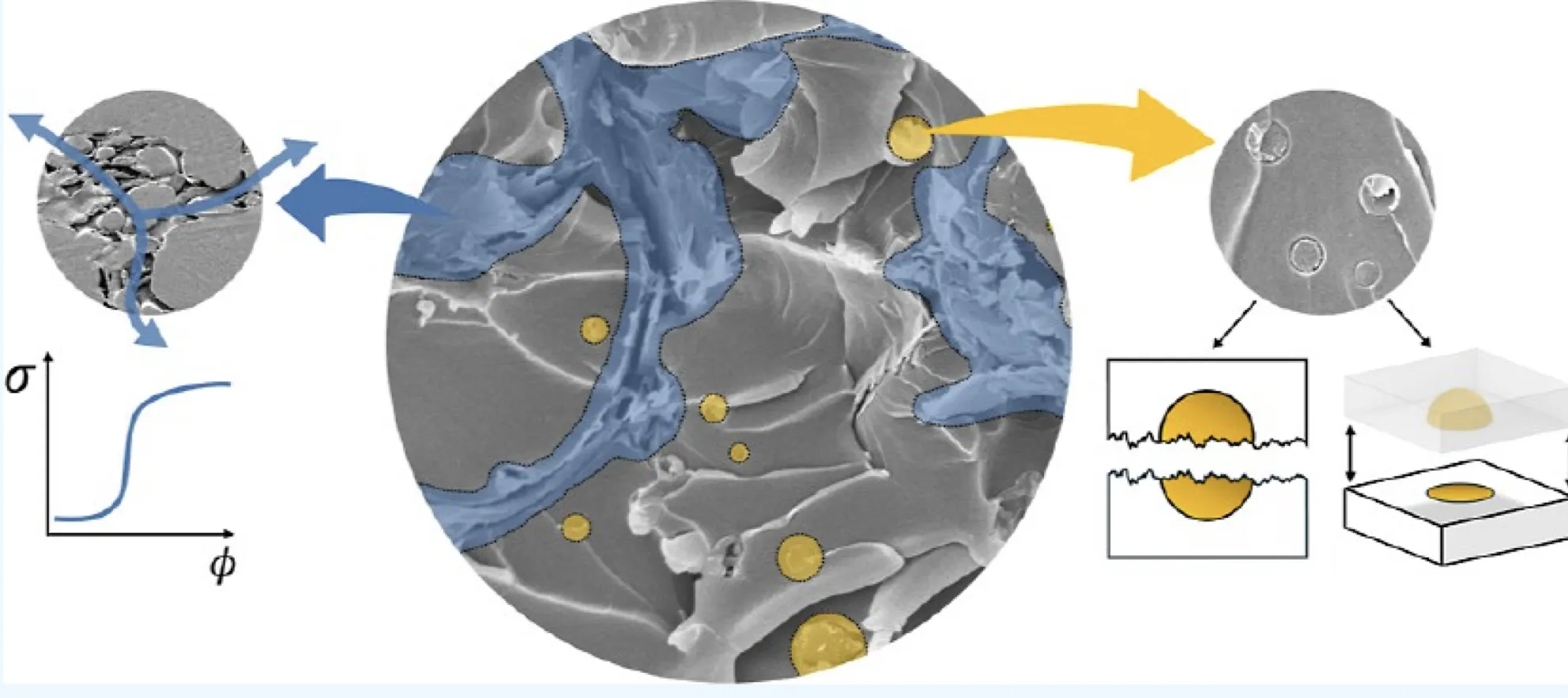 Morphological Constraints on Double Percolation and Toughening in Nanocarbon-Filled Epoxy–Poly(ether imide) IPN Nanocomposites