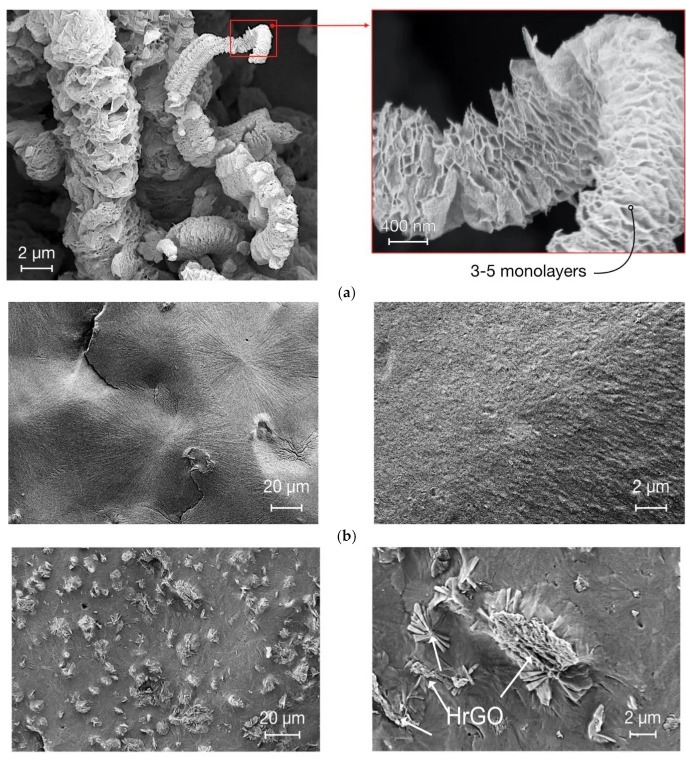 Mechanical Behavior of Melt‐Mixed 3D Hierarchical Graphene/Polypropylene Nanocomposites