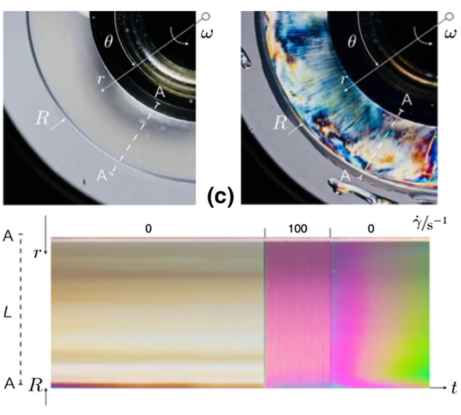 Unexpected microphase transitions in flow towards nematic order of cellulose nanocrystals