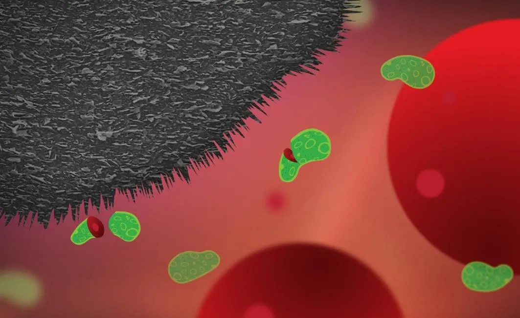 Mechano-bactericidal surfaces