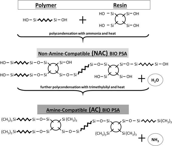 Nonlinear oscillatory shear tests of pressure-sensitive adhesives (PSAs) designed for transdermal therapeutic systems (TTS)