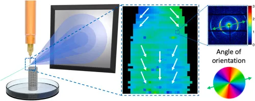 Nanostructure and anisotropy of 3D printed lyotropic liquid crystals studied by scattering and birefringence imaging