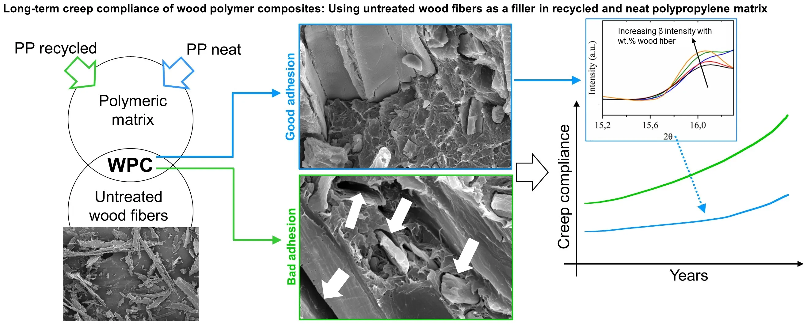 Long-Term Creep Compliance of Wood Polymer Composites: Using Untreated Wood Fibers as a Filler in Recycled and Neat Polypropylene Matrix