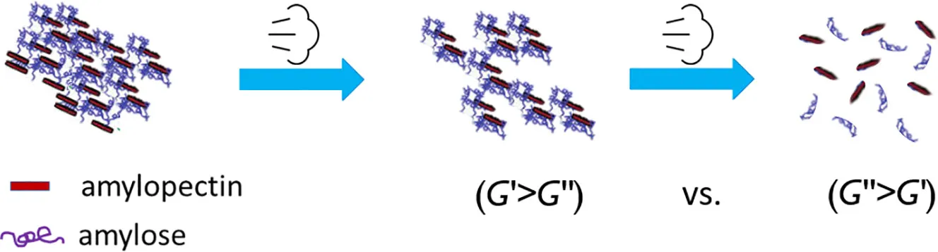 Influence of steam jet-cooking on the rheological properties of dry and wet cationized starches