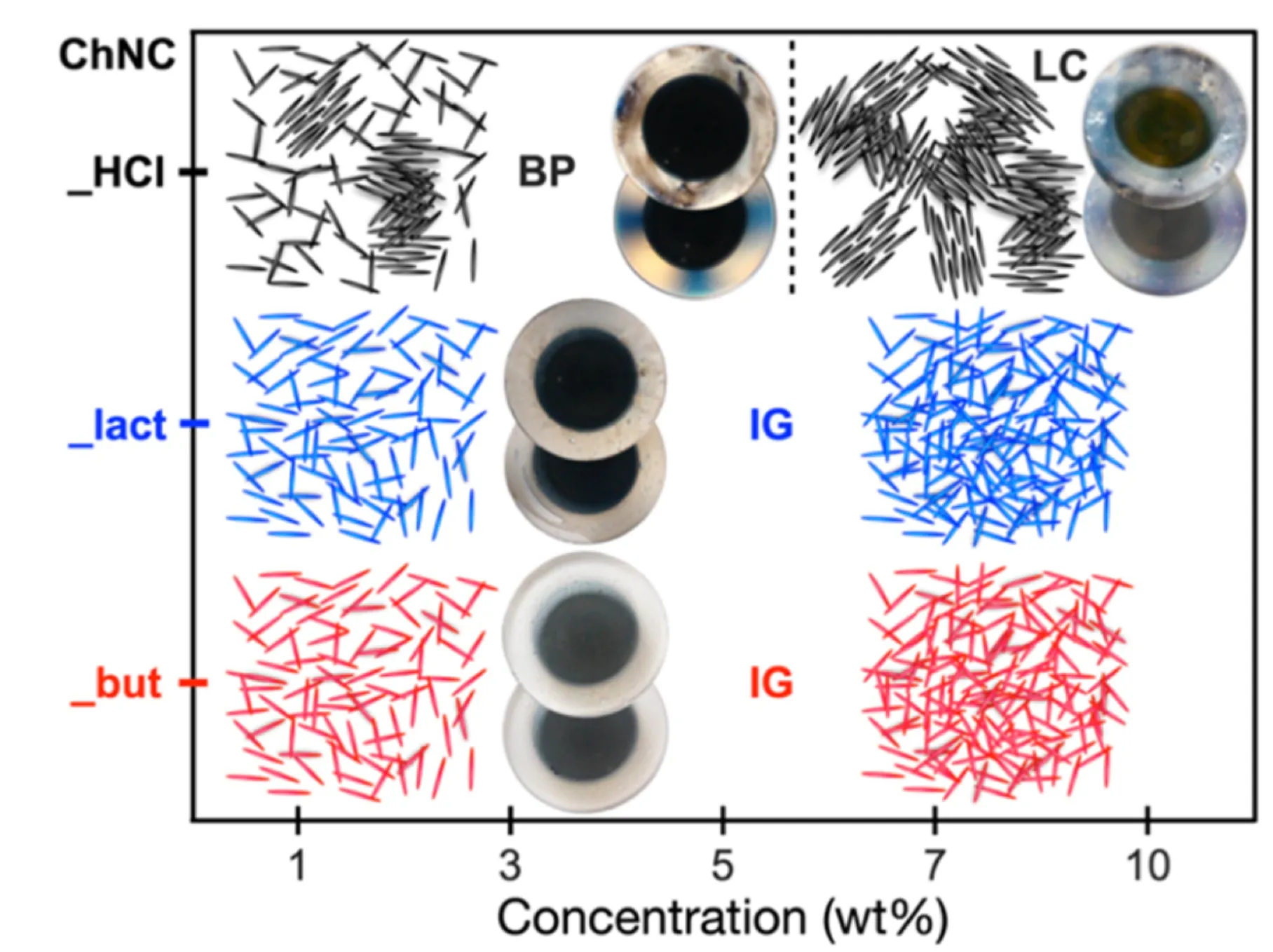 Green topochemical esterification and its effect on supramolecular structuring/individualization of chitin nanocrystals,