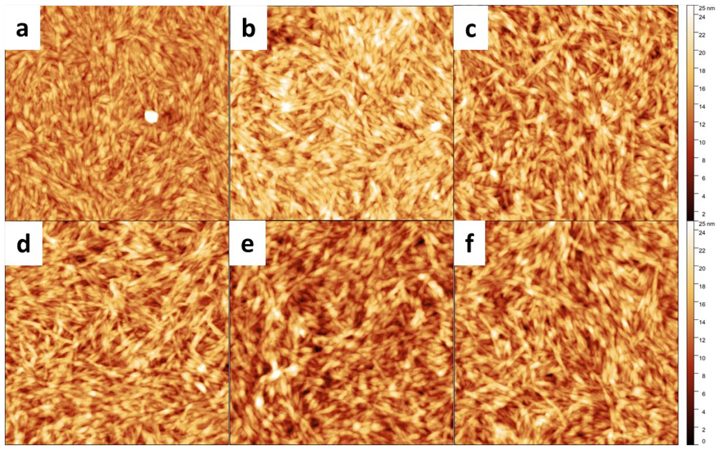 Dynamic and Static Assembly of Sulfated Cellulose Nanocrystals with Alkali Metal Counter Cations
