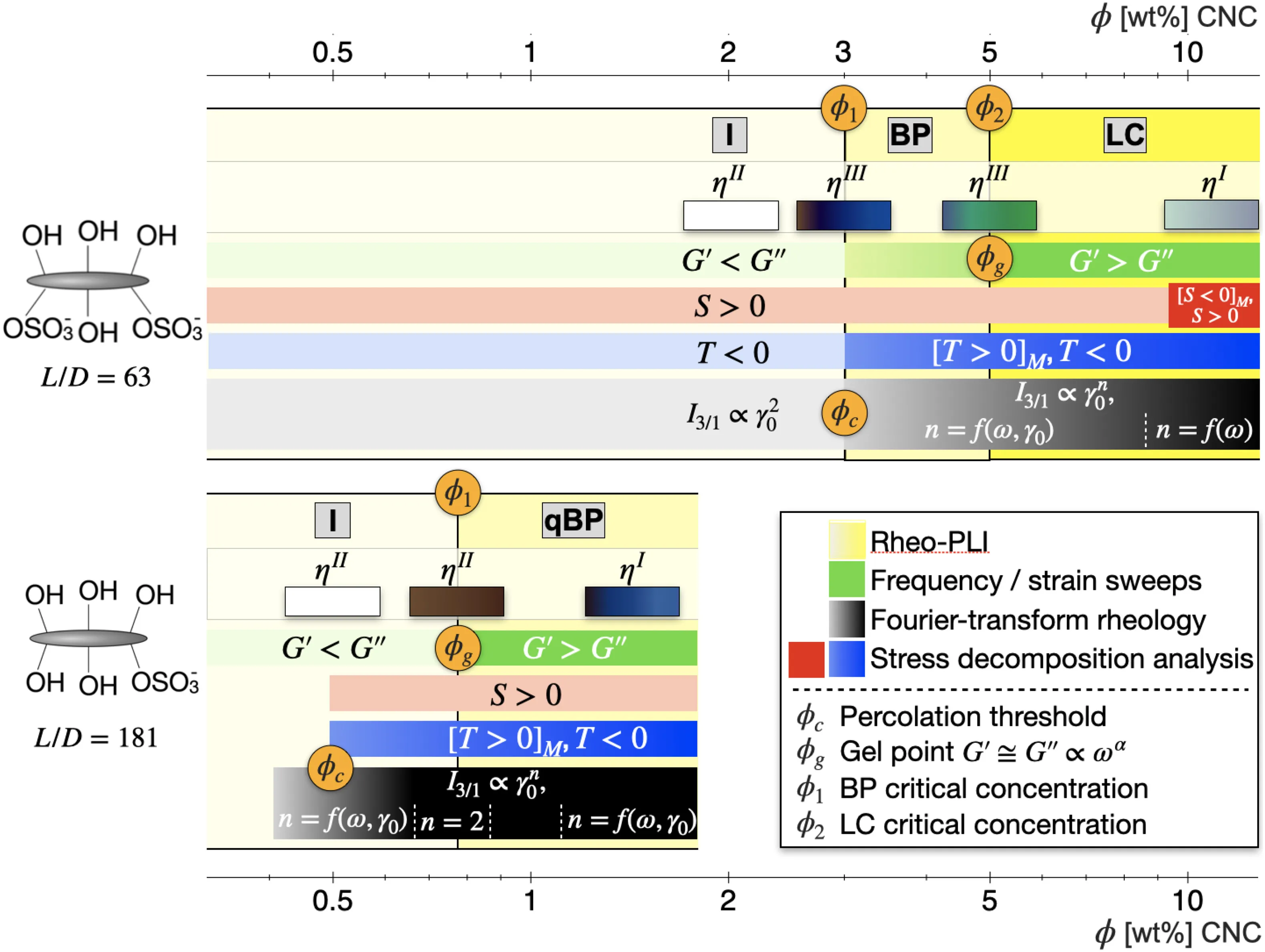 Percolation and phase behavior in cellulose nanocrystal suspensions from nonlinear rheological analysis