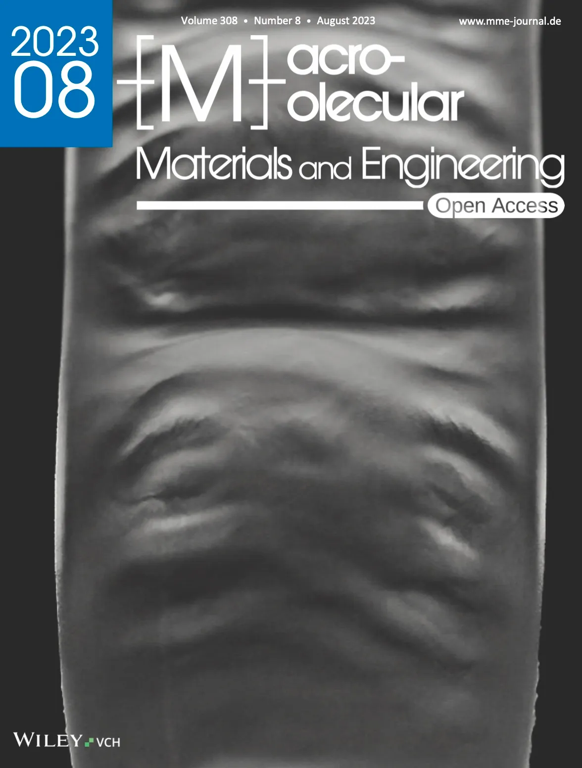An Intriguing Array of Extrudate Patterns in Long-Chain Branched Polymers During Extrusion