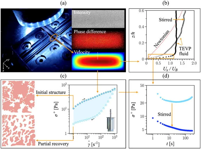 Scaling laws for near-wall flows of thixo-elasto-viscoplastic fluids in a millifluidic channel