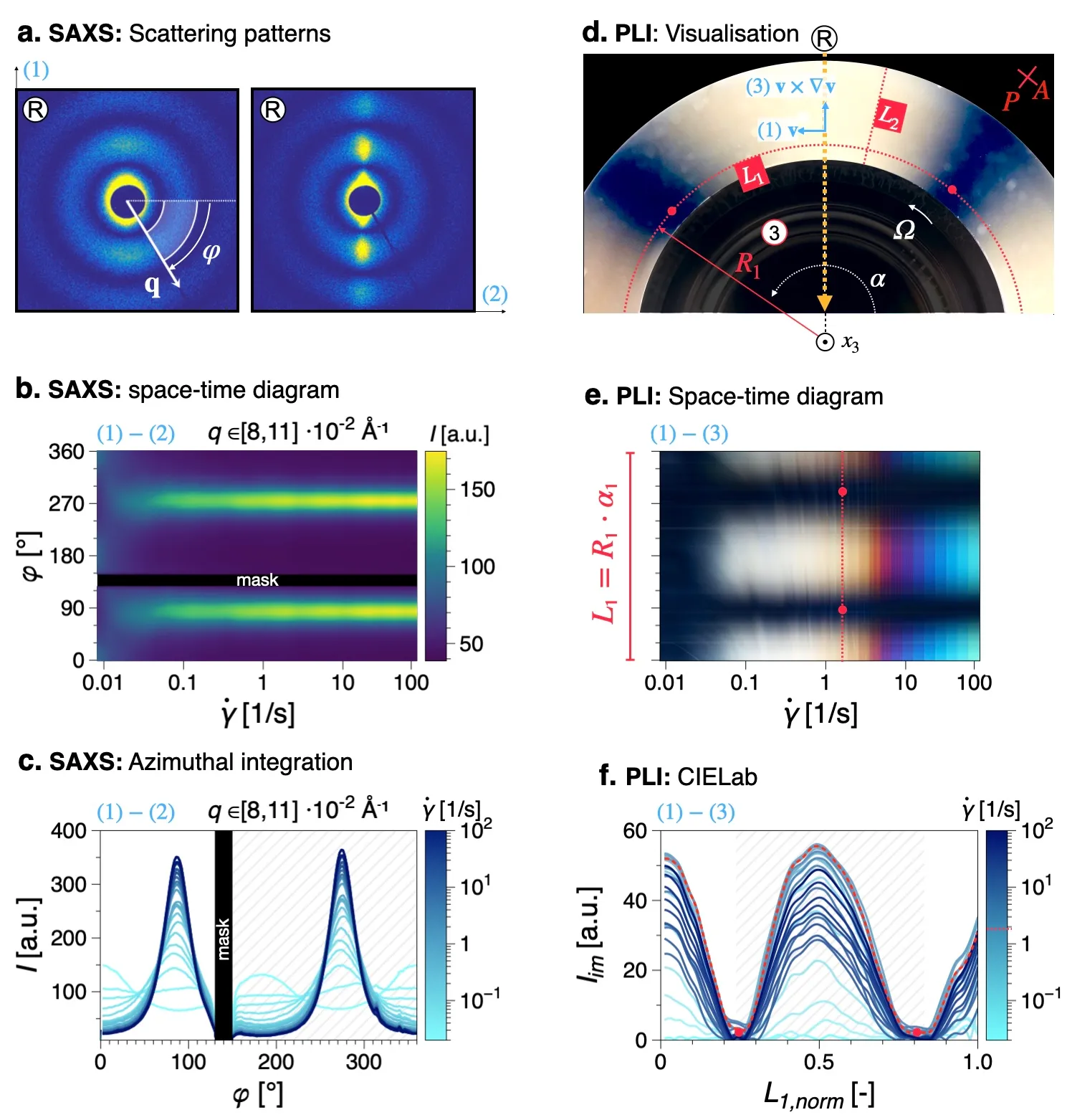 Propagation of Orientation Across Lengthscales in Sheared Self-Assembling Hierarchical Suspensions via Rheo-PLI-SAXS
