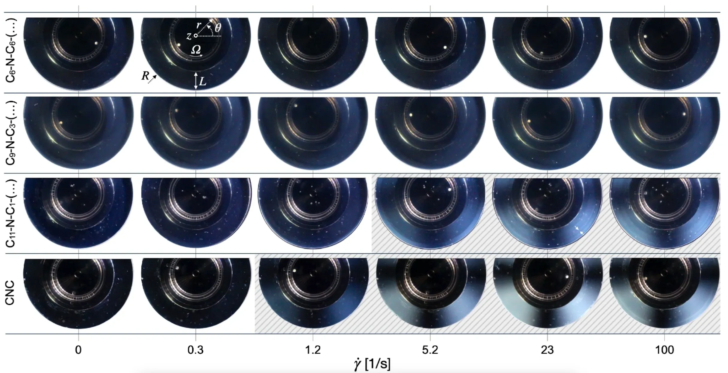 Cellulose nanocrystal dispersions conjugated with symmetric and asymmetric dialkylamine groups