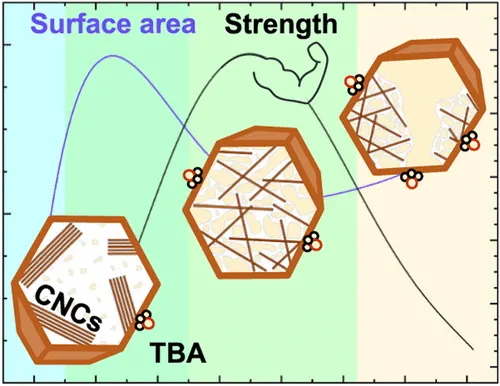 Tert-Butanol as a Structuring Agent for Cellulose Nanocrystal Fluids and Foams