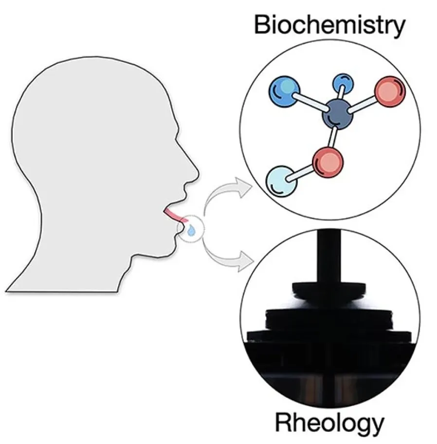 The complex shear time response of saliva in healthy individuals