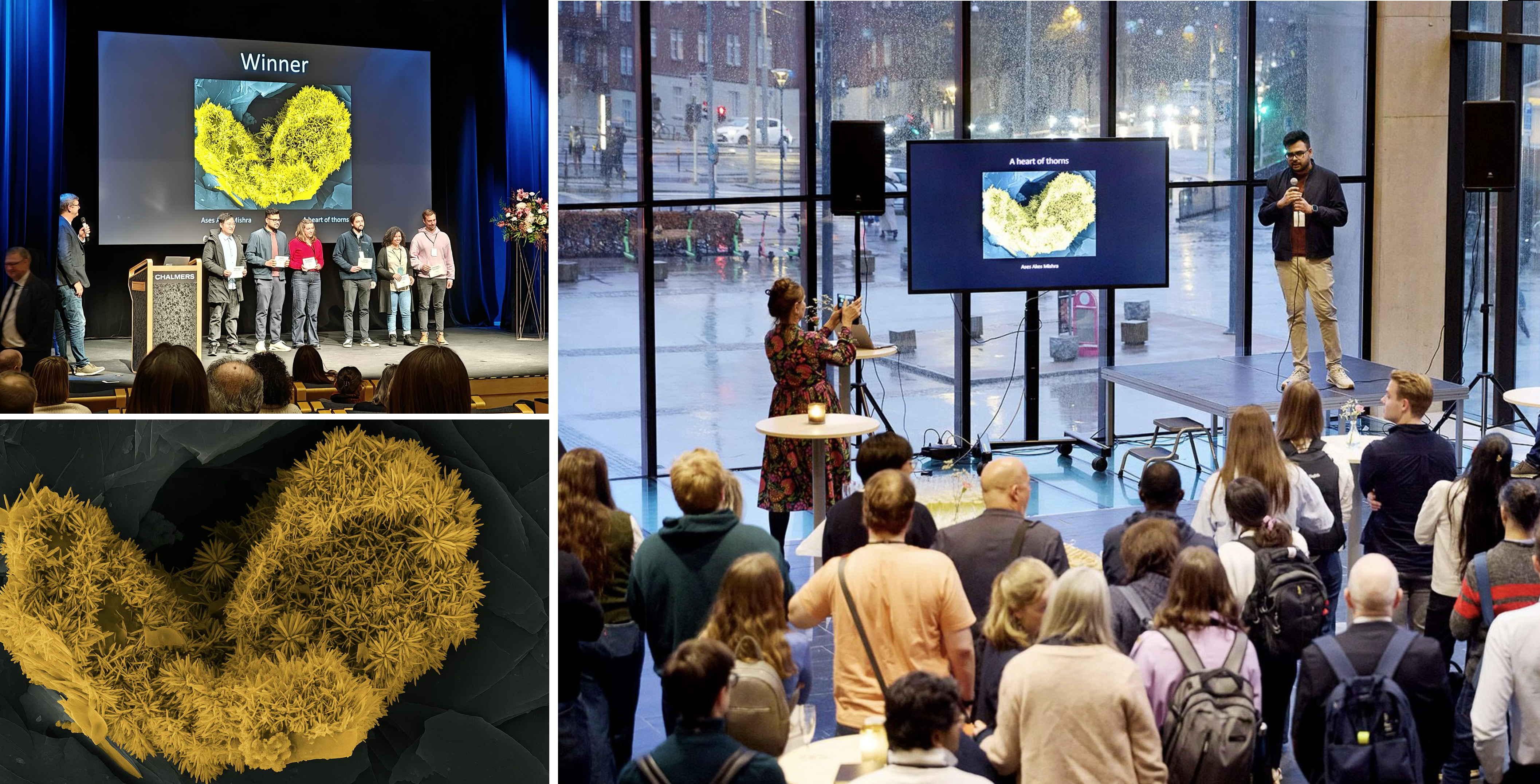 Winning image: A Heart of Thorns by Ases