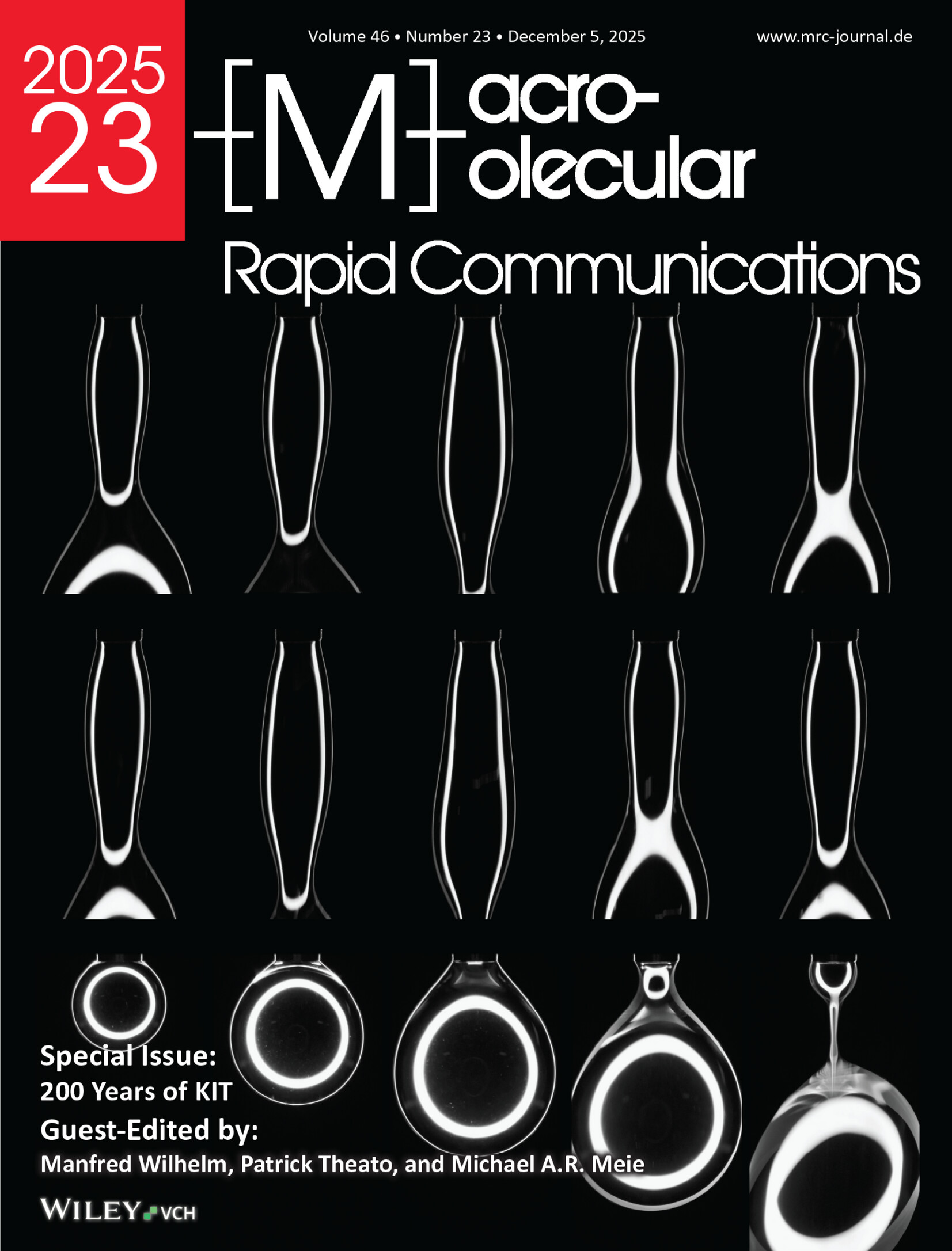 Cover picture in Macromolecular Rapid Communications